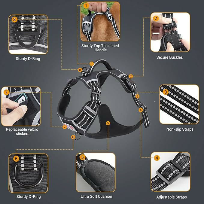 81giy5k64wL._AC_SX679_