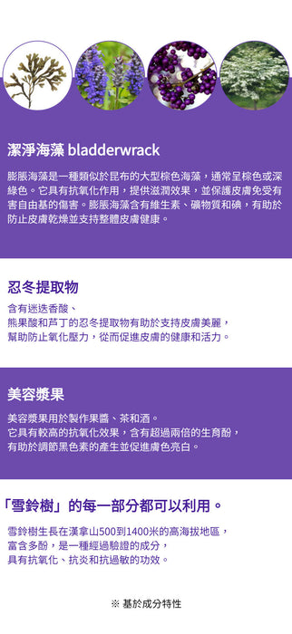 (限時優惠) 九本草 振動按摩緊緻眼霜優惠裝(兩套送兩支補充裝眼霜 Guboncho Premium Gold Massage Eye Cream 20g (Buy 2 Get 2 Free Refill 20g/pc )