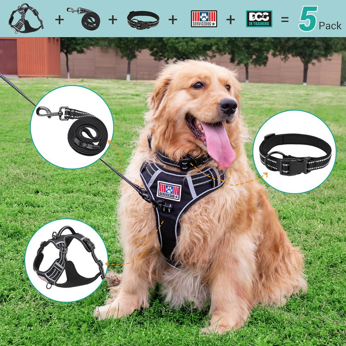 81NAkZgiYtL._AC_SL1500_