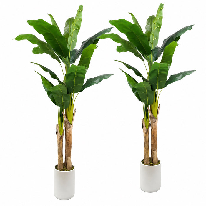 Faux Banana Trees, 2-Pack, 72 in, Planters Included, Indoor Décor