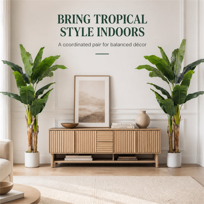 Faux Banana Trees, 2-Pack, 72 in, Planters Included, Indoor Décor