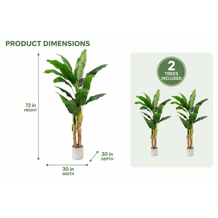Faux Banana Trees, 2-Pack, 72 in, Planters Included, Indoor Décor