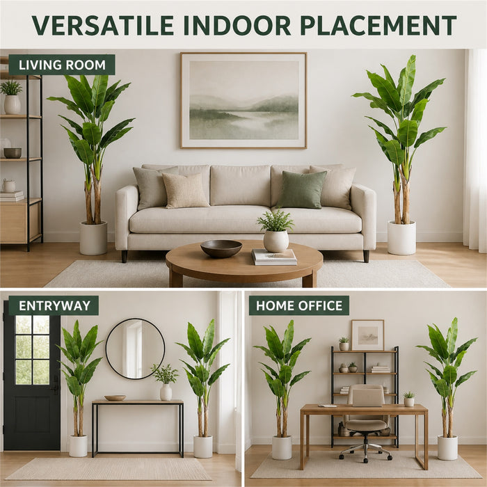 Faux Banana Trees, 2-Pack, 72 in, Planters Included, Indoor Décor