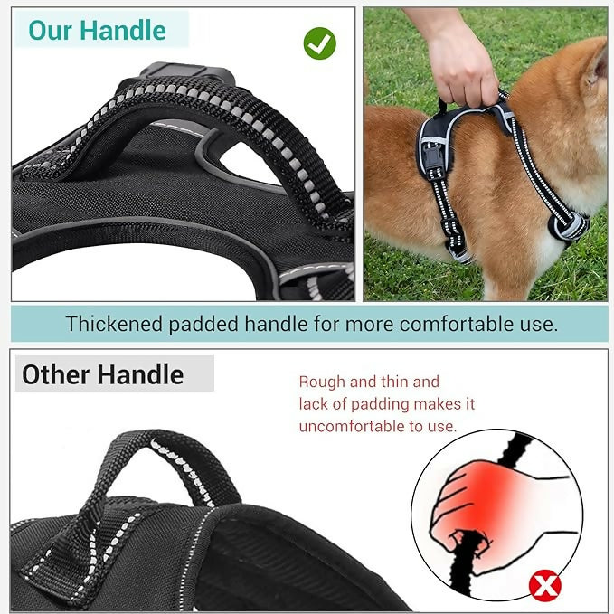 81eww1fdZdL._AC_SX679_