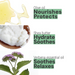 Verbena ingredient