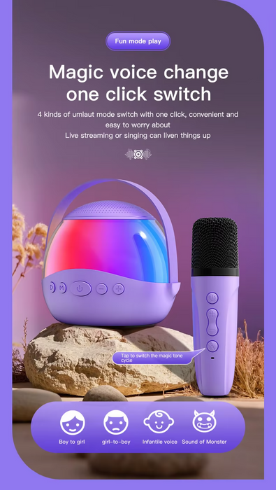 P13雙麥克風藍牙音箱 | P13 Dual Microphone Bluetooth Speaker