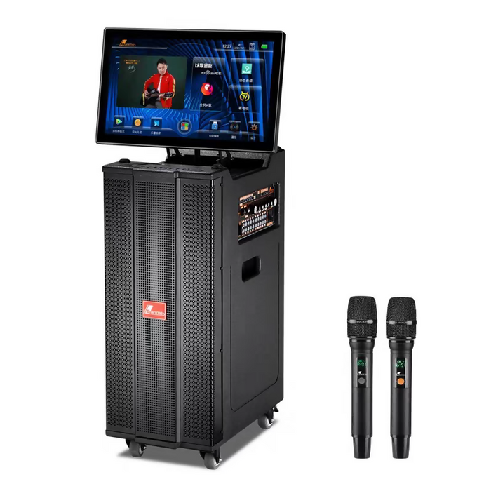 丹嘜仕雙麥卡拉OK音響
