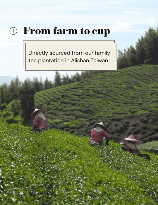 Tea_Farm