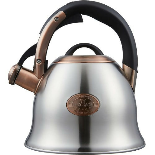 TeaKettle_T03_Silver_1-500x500