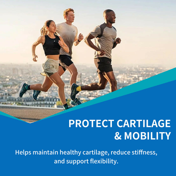 維骨素 4in1｜Joint Formula High Strength Daily Joint Support