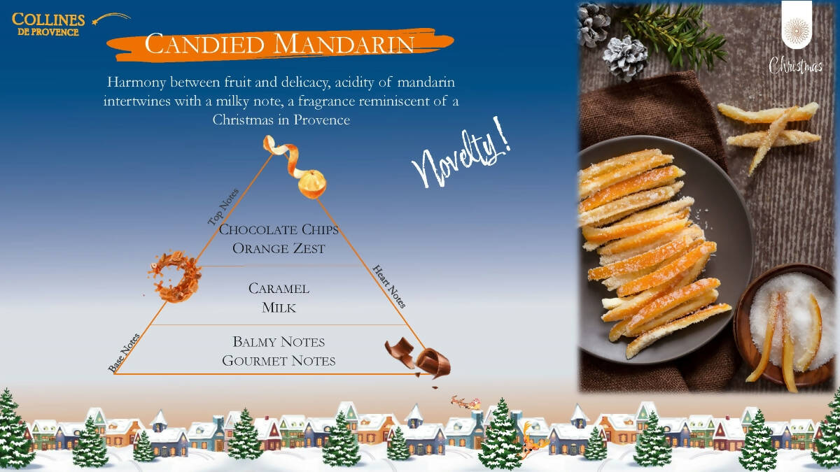 X'mas Collection -Reed Diffuser 100ml (Crackers Case) 法國天然藤木棒 香薰瓶 (聖誕系列)