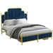 BedFrame_BD018QNGDDB_1-500x500