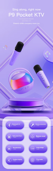 P13雙麥克風藍牙音箱 | P13 Dual Microphone Bluetooth Speaker