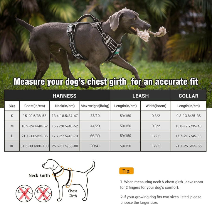 716VZHCLIoL._AC_SL1500_