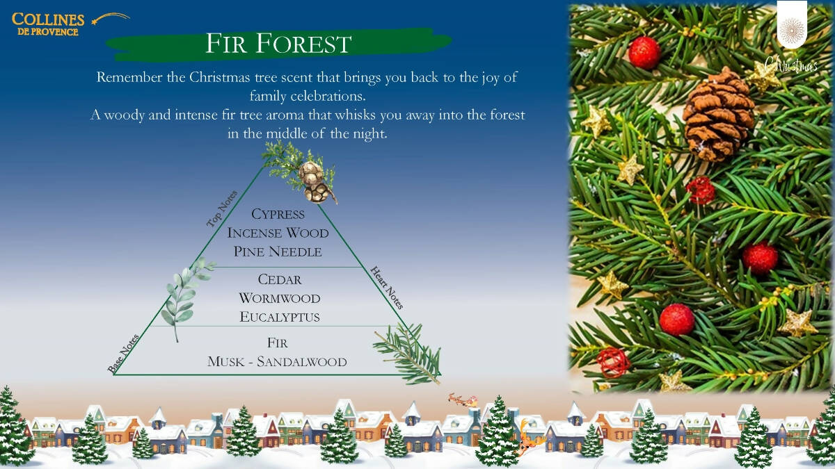 X'mas Collection -Reed Diffuser 100ml (Crackers Case) 法國天然藤木棒 香薰瓶 (聖誕系列)