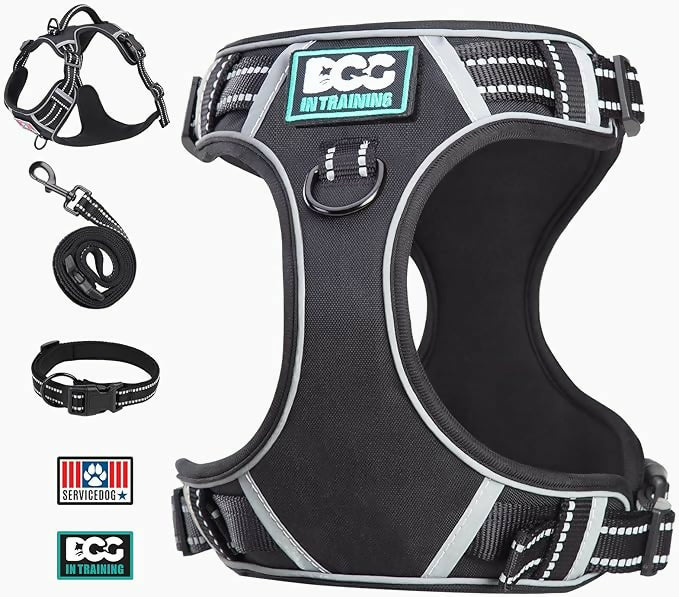 71IEHNPgApL._AC_SX679_