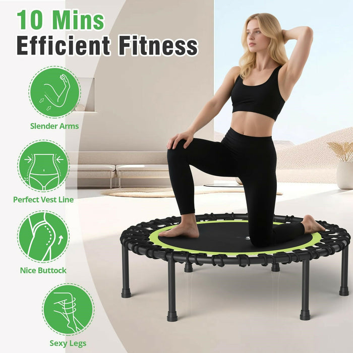 Rebounder Trampoline for Adults Quiet Bungee Cord System, 330 lb Capacity, Foldable Mini Fitness Trampoline Indoor Cardio, Weight Loss & Home Workout