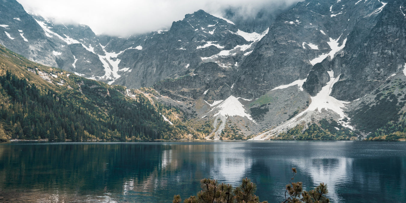 Breathe Well. Live Better.