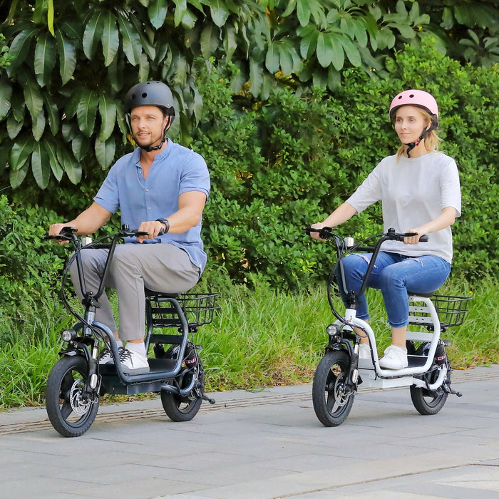 Adult Electric Scooter with Seat, 750W Motor, 14-Inch Pneumatic Tires, Front & Rear Disc Brakes, LCD Display, LED Headlight, Rear Basket, Folding Electric Scooter for Commuting, Gray and white Model HBCP1401