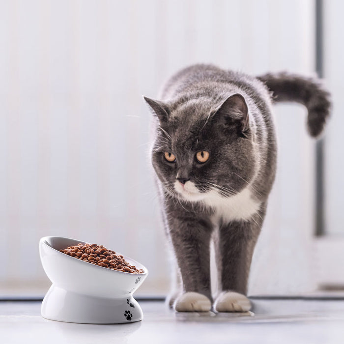 斜口高腳貓碗寵物碗食盆 易清潔/防滑Cat Bowl，Grey