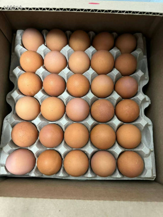 Jumbo 鸡蛋 一箱100个
