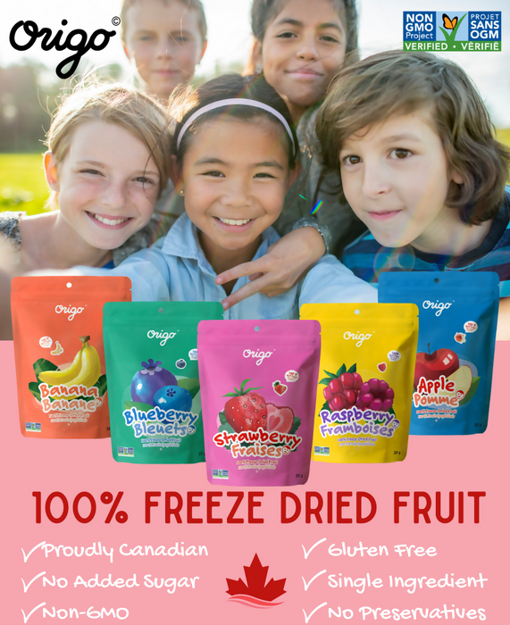 (Healthy Snack健康點心) Origo 100% Freeze Dried Fruits