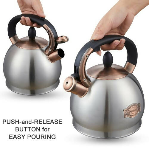 LUXGRACE 2.8 QT Tea Kettle, Whistling Tea Pot with Silicone Handle, Stainless Steel for Stovetops (Silver) - T04