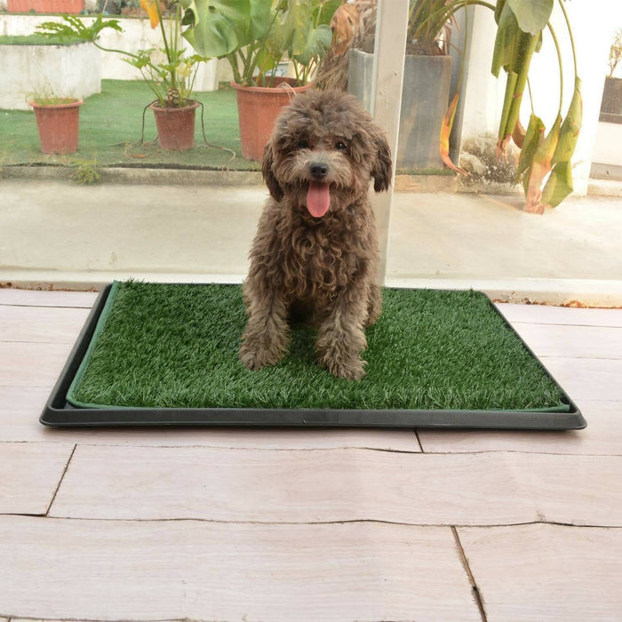 SingHome - 30 英吋 x 20 英吋小狗寵物如廁訓練墊 3 層狗室內廁所人造草墊