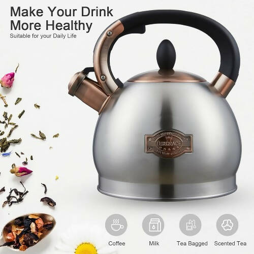 LUXGRACE 2.8 QT 茶壺，帶矽膠手柄的哨聲茶壺，不銹鋼爐灶（銀色） - T04